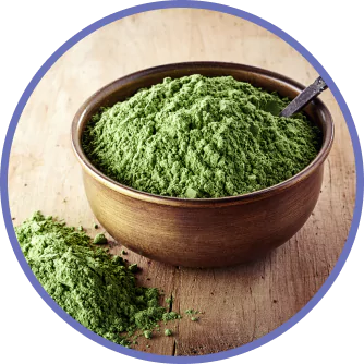 Chlorella