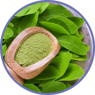 Moringa